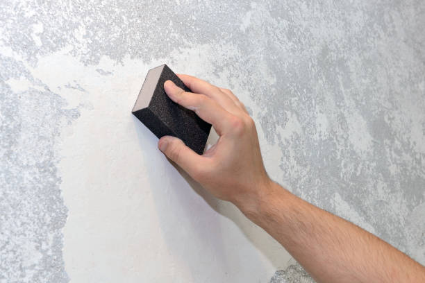 Best Industrial Mold Remediation  in Edgewood, WA