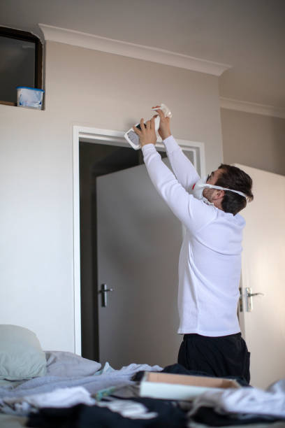 Best Basement Mold Removal  in Edgewood, WA