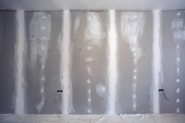 Best Mold Damage Restoration  in Edgewood, WA